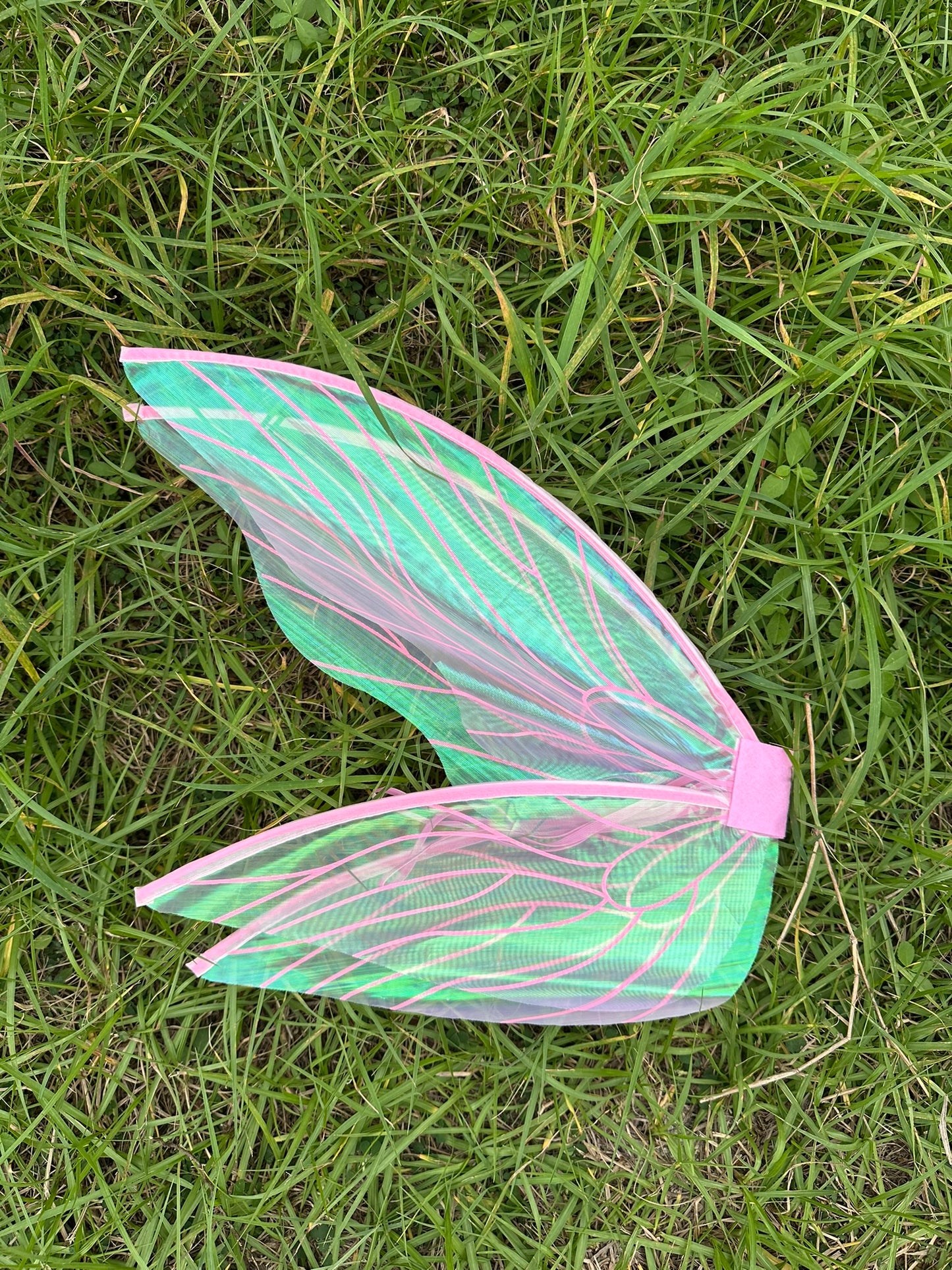 Iridescent Fairy Wings!