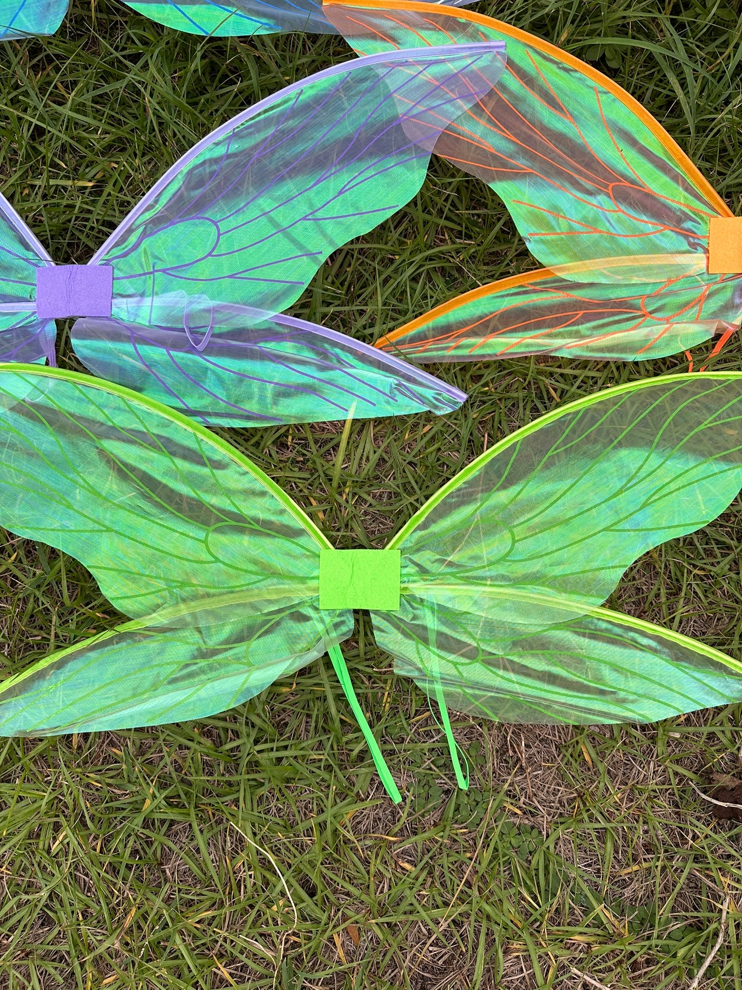 Iridescent Fairy Wings!