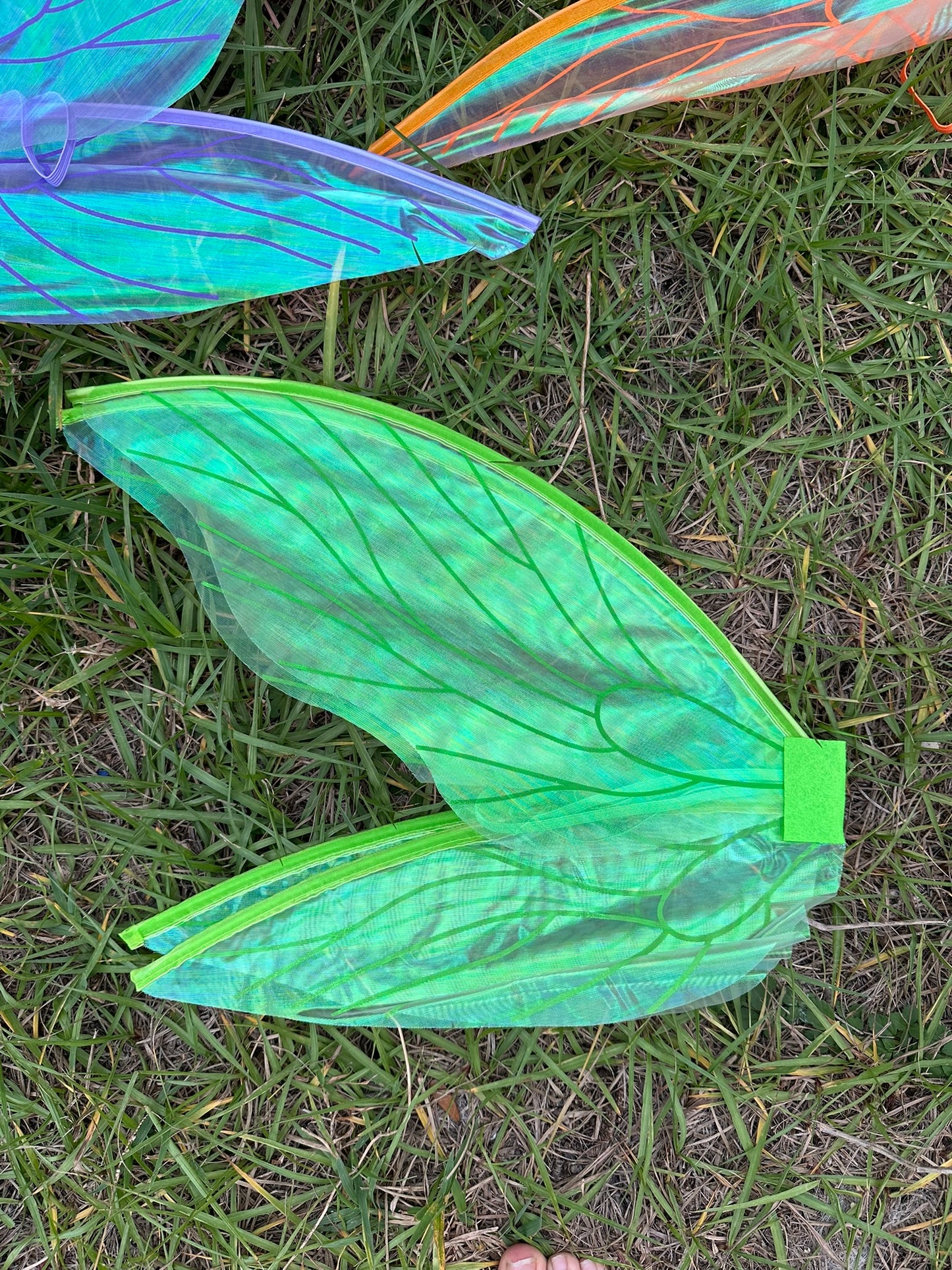 Iridescent Fairy Wings!