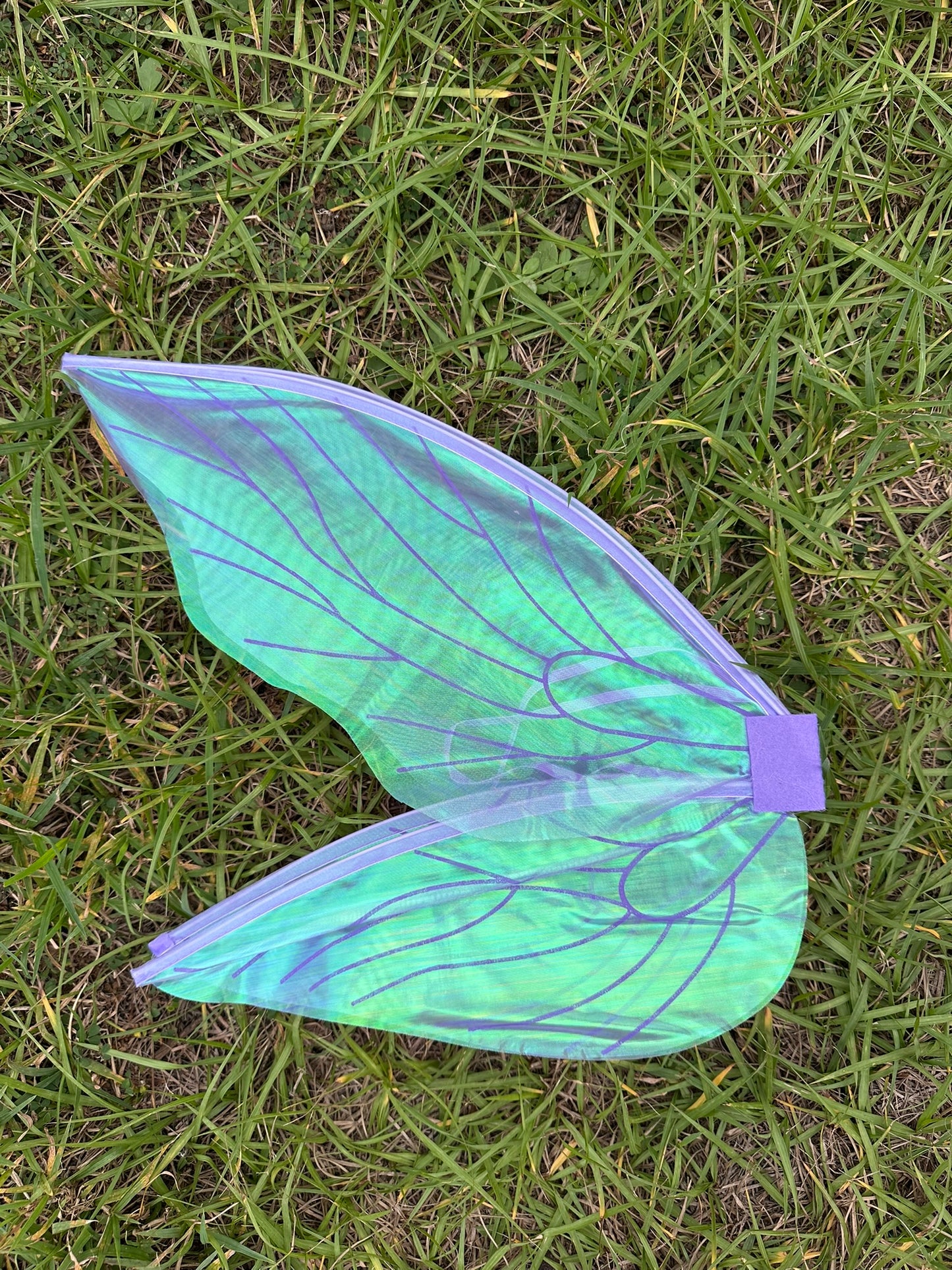 Iridescent Fairy Wings!