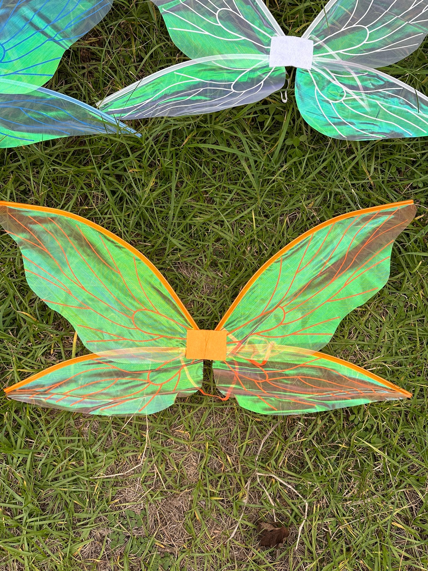 Iridescent Fairy Wings!