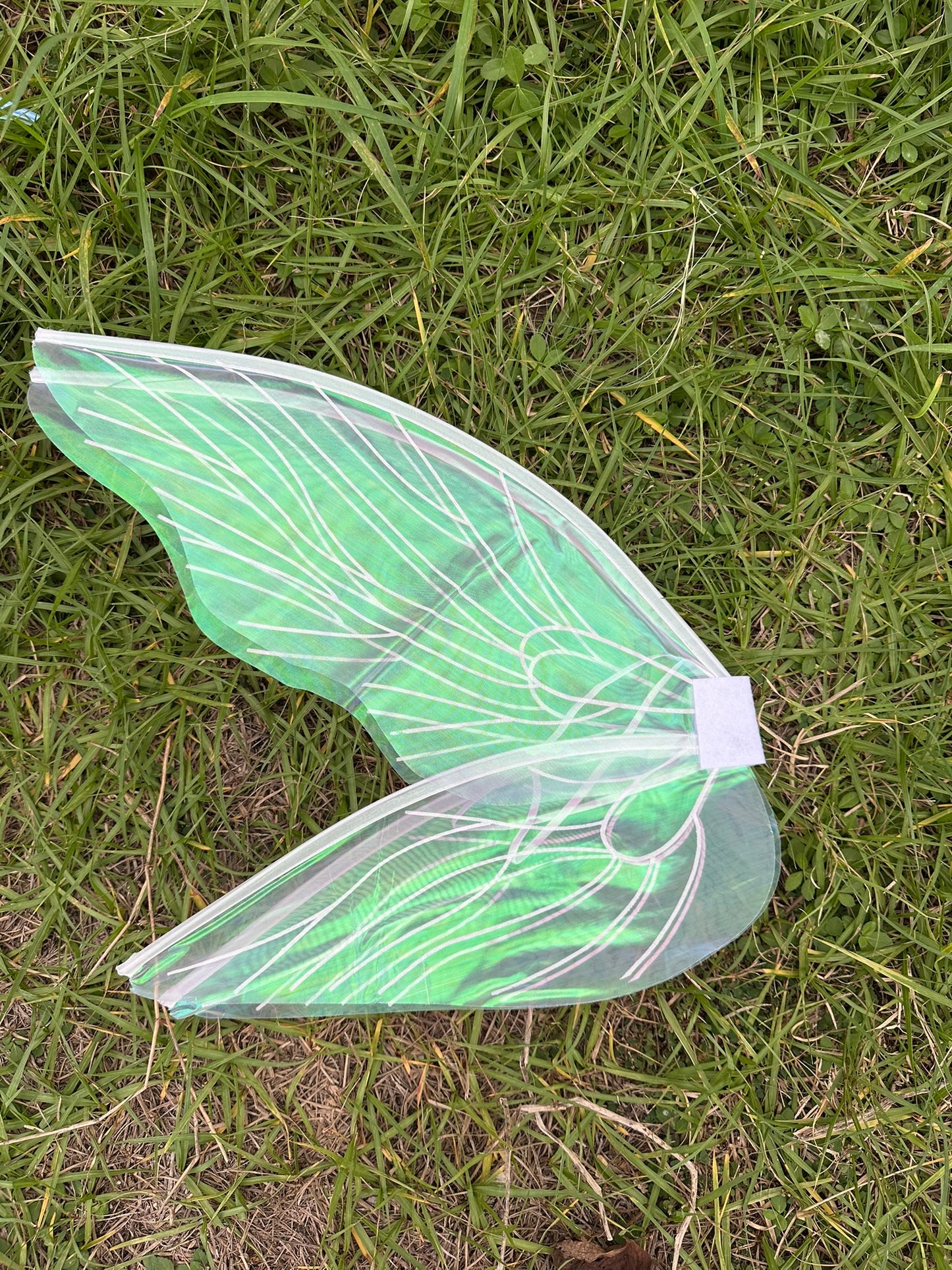 Iridescent Fairy Wings!
