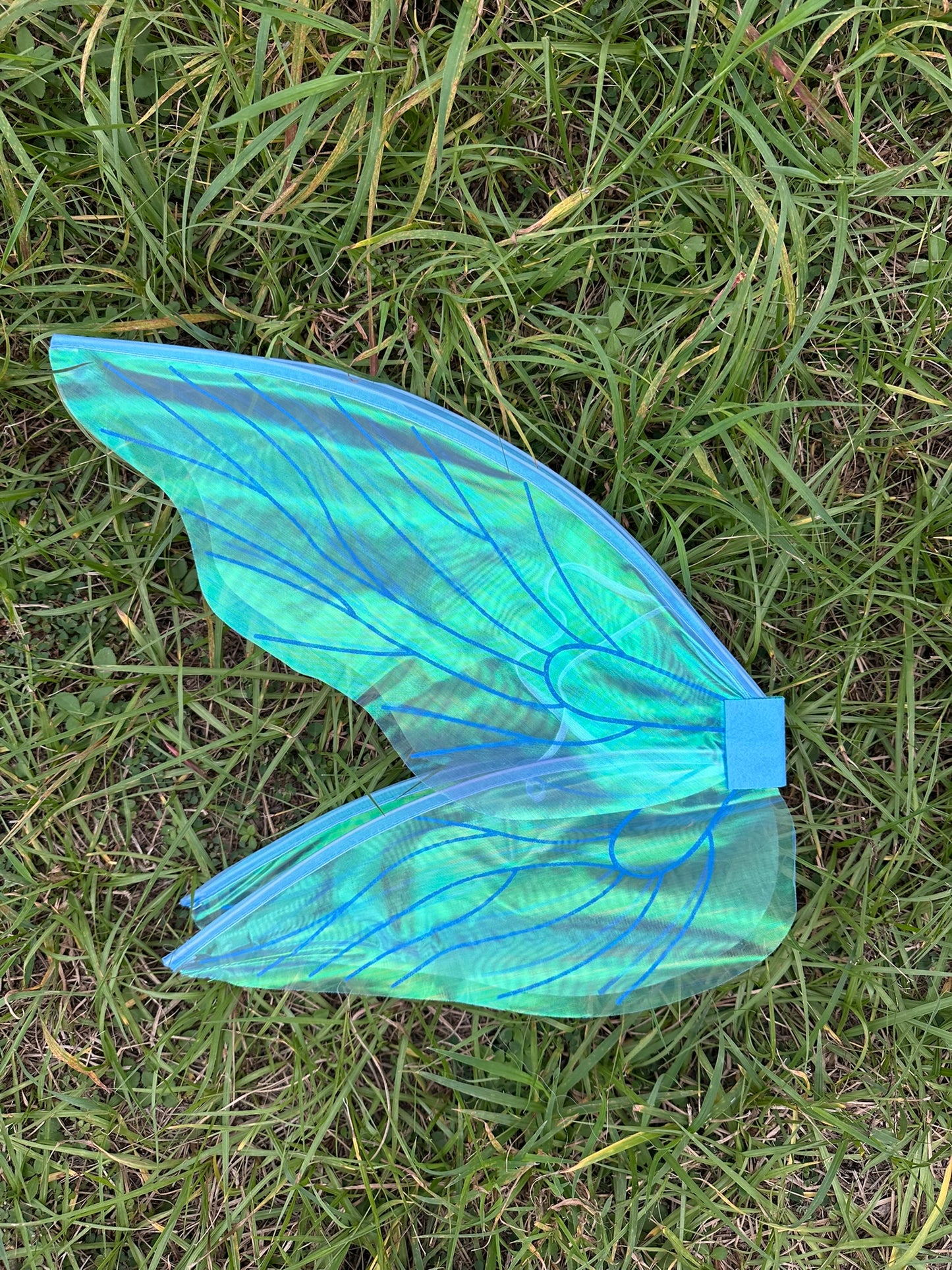 Iridescent Fairy Wings!