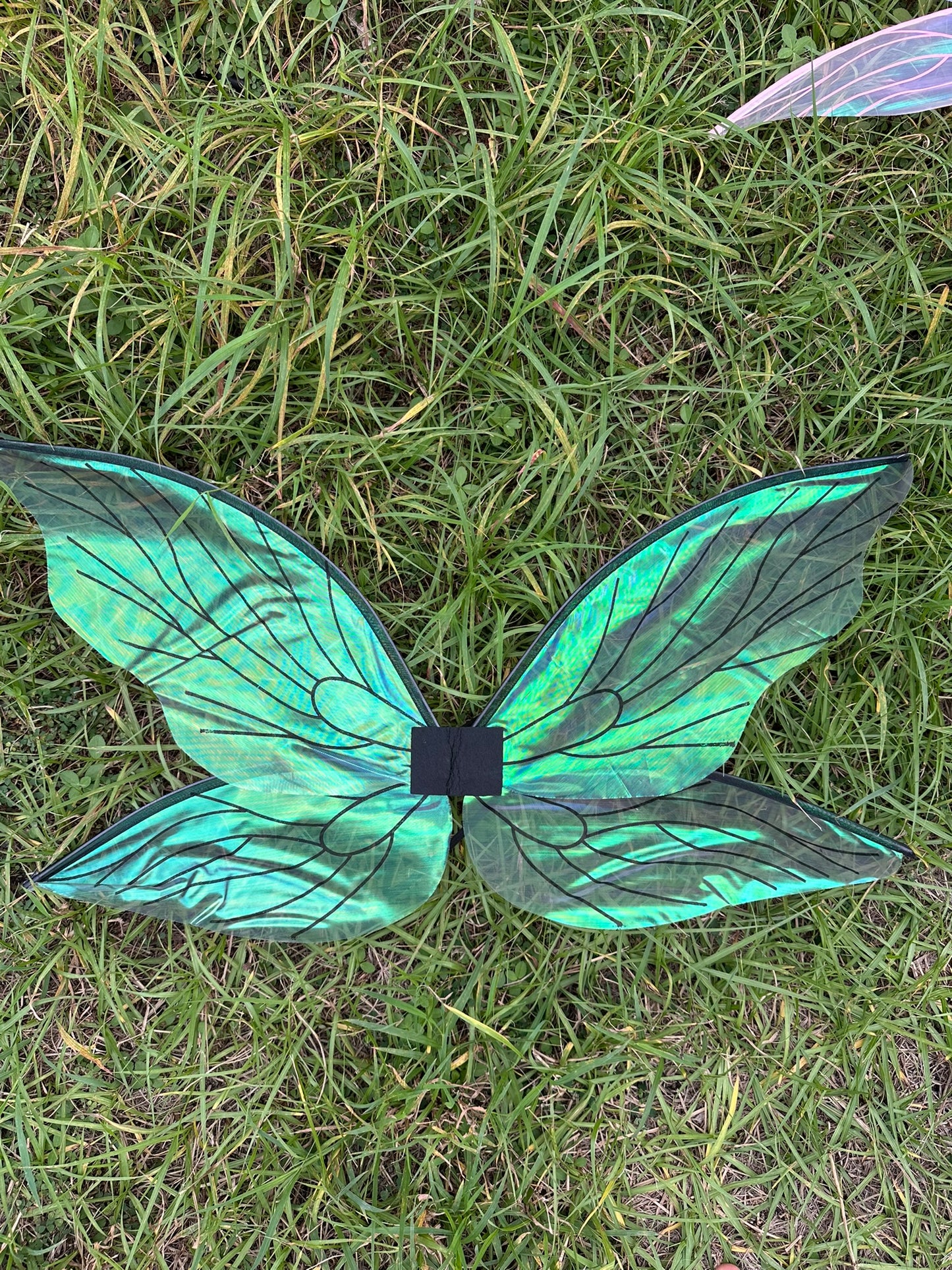 Iridescent Fairy Wings!